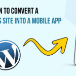 Best Plugin to Convert a WordPress Site Into a Mobile App