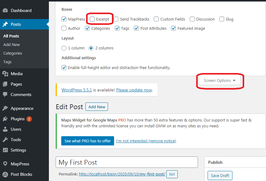 Custom Excerpt in WordPress