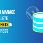 Delete Transients in WordPress