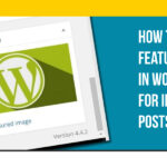 Hide a Featured Image In WordPress
