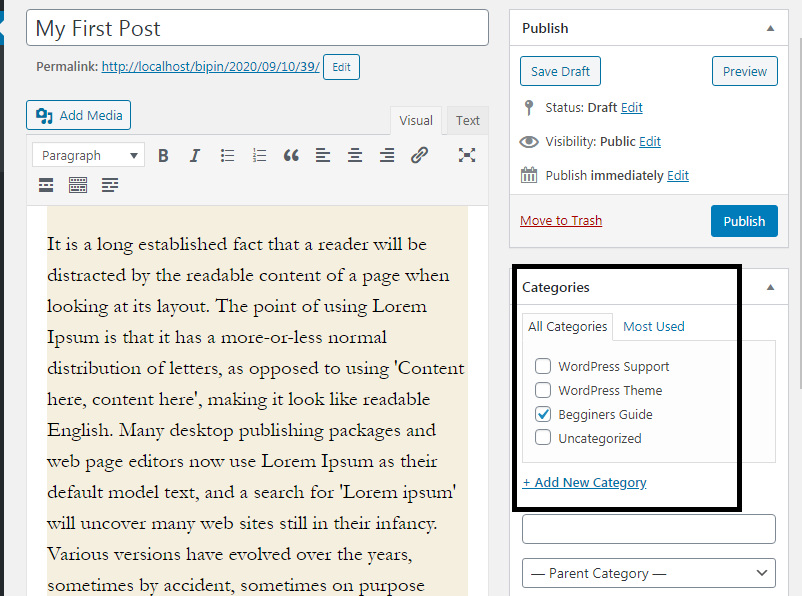 WordPress Post Category