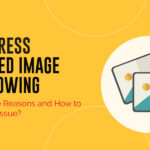 WordPress featured image not showing – The Probable Reasons and How to Resolve this Issue?