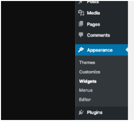 Edit a Footer in WordPress