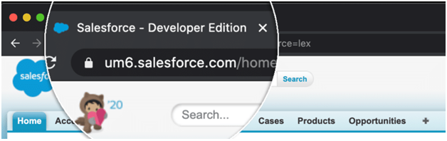 salesforce developer edition