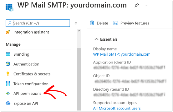 wp smtp your domain