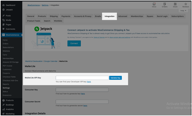 Mailerlite API Key