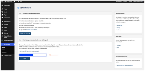 Sendinblue API Key
