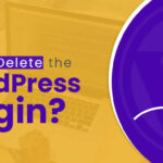 how to delete the wordpress plugin