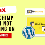 How to Fix the Mailchimp Form Not Working Issue on WordPress