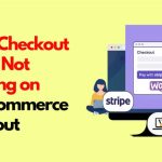 Stripe Checkout Button Missing