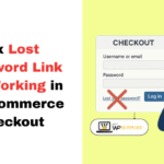 Lost password link not working at WooCommerce checkout