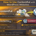 Contentful with WordPress Websites