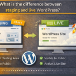 Staging and live WordPress