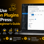 Donation Plugins in WordPress